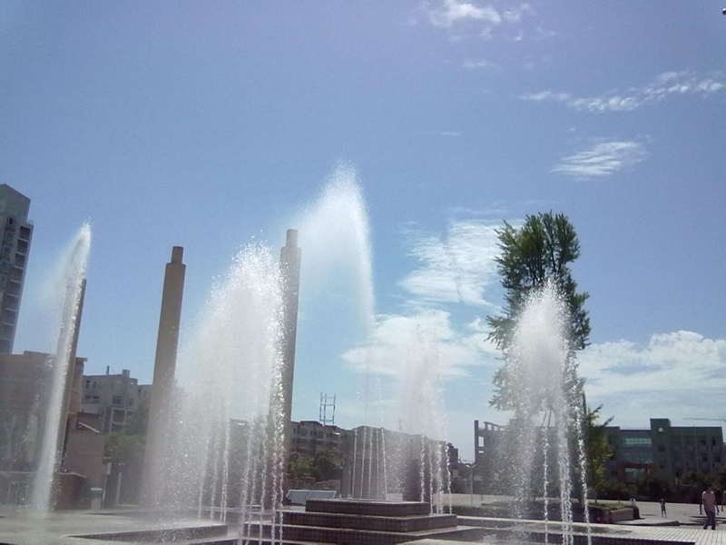 p00054310_800