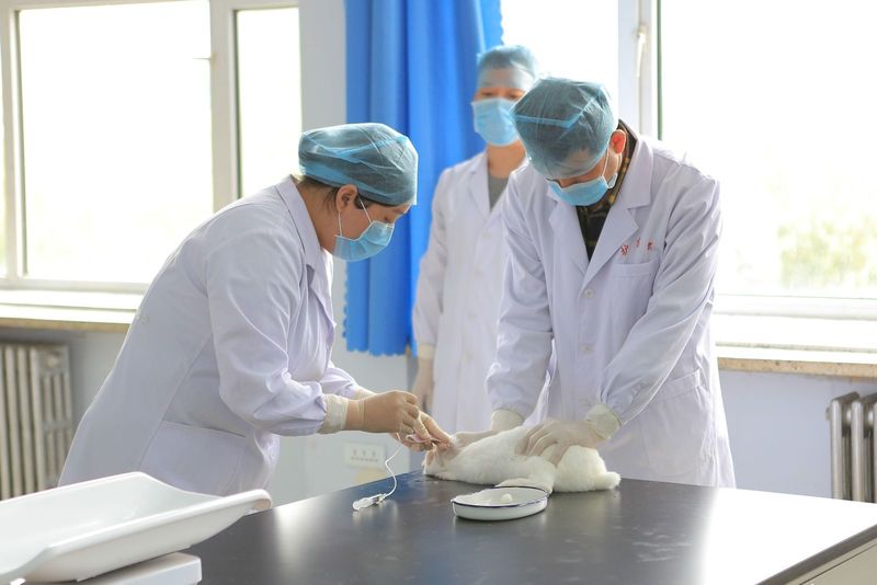（黑龙江护理高等专科学校）校园环境