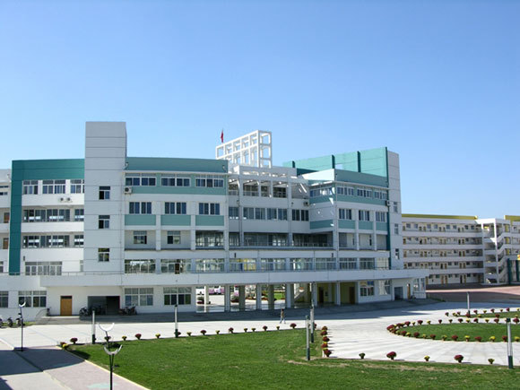 怀卡托大学64