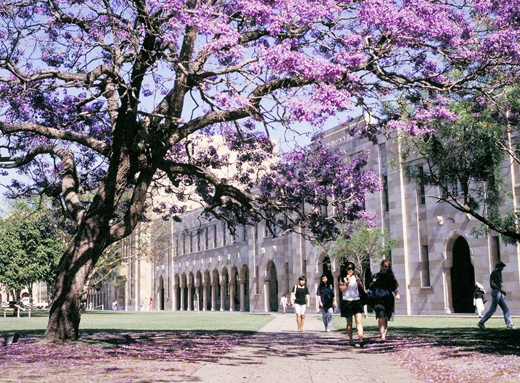 昆士兰大学 图片3