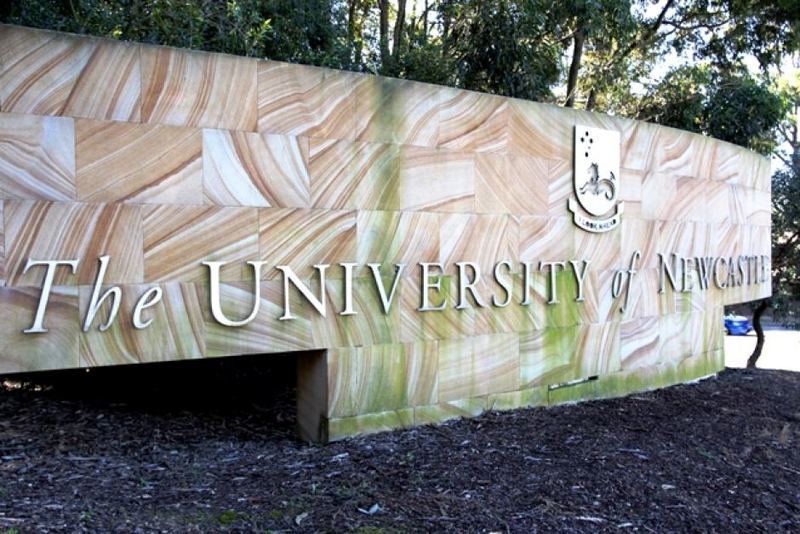 大学