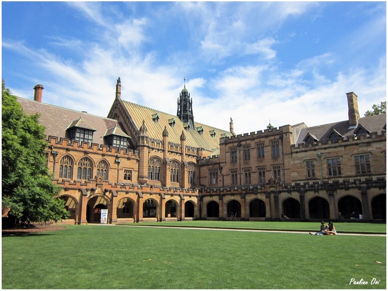 picnic71331121 大学