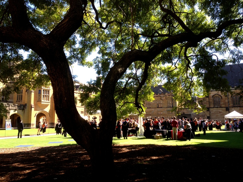 Inside_Quadrangle_Cloisters,_University_of_Sydney 悉尼大学